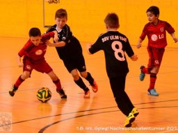 mini-Schlins-U9-Spiegl-DSC_1083